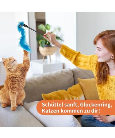 Toozey Cat Toys 16 PCS Set | Interactive Fishing Rod Feather & Bug Replacements with Bells | Bonus Storage Bag | International Shipping Available - Buy Online on SooperMarket.com