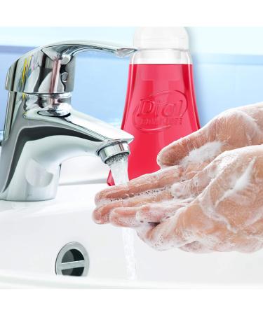 Dial Antibacterial Foaming Hand Wash Power Berries 7.5 oz - Pack of 8 - Buy Online on SooperMarket.com