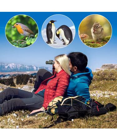 Pankoo 40X60 Monocular High Power Monocular Scope for Bird Watching Traveling Concert Sports Game with Phone Adapter Tripod - Buy Online on SooperMarket.com