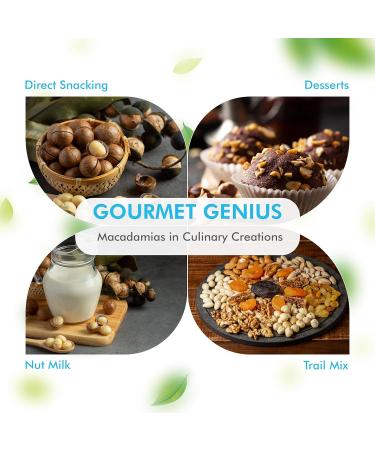 Careemz Salted Roasted Macadamia Nuts - Malawi's Finest Gourmet Snack (450g) - Buy Online on SooperMarket.com