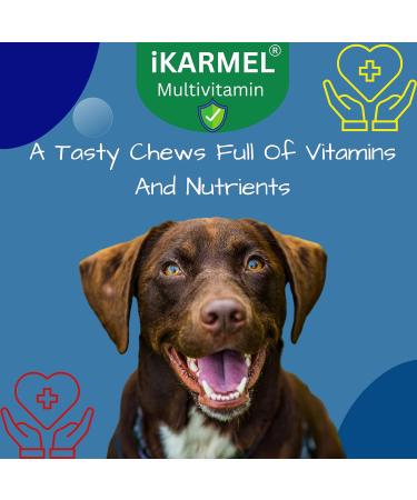 Doggy Dailies Vitamins & Supplements for Dogs | Skin & Coat, Probiotics, Joint Support | 24 Vitamins & Minerals | Puppy to Senior Multivitamin - 180 Count - Buy Online on SooperMarket.com