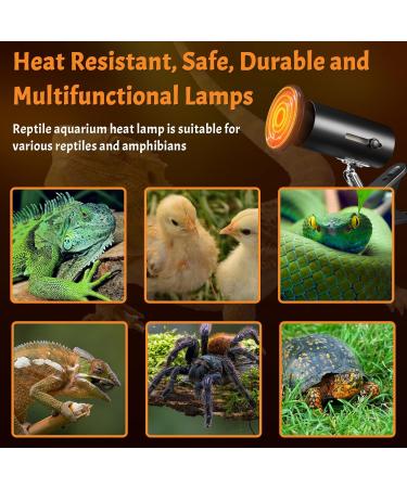 Bonlux 100W Reptile Heat Lamp with Adjustable Holder | E27 Basking Lamp for Terrarium | Infrared Heat Bulb for Lizards, Tortoise, Snake, Chicken, Puppies - Buy Online on SooperMarket.com
