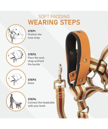 Alpha Boy Dog Training Collar | Comfortable Real Leather Harness for All Breeds | Easy-to-Use with Quick Lock Buckle (XXL) - Buy Online on SooperMarket.com