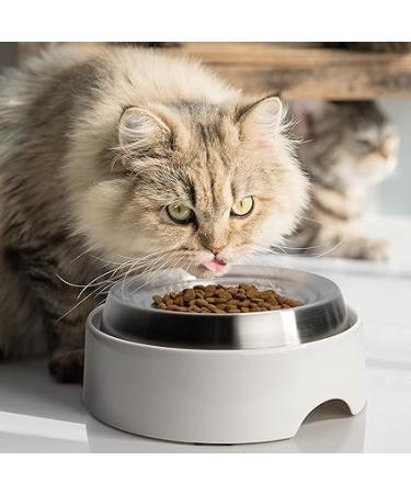 CatGuru Whisker Stress-Free Cat Food Bowl - Non-Slip Shallow Stainless Steel Dish - Buy Online on SooperMarket.com