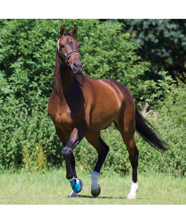 Woof Wear Medical Hoof Boots Boot Blue - Close fitting medical hoof boot 6 UK Blue - Buy Online on SooperMarket.com