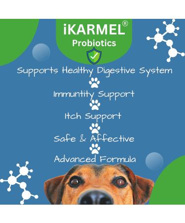 Doggy Dailies Probiotics for Dogs - Canine Supplements for Digestive and Immunity Support - Skin Health and Itch Support - Vitamin Treats - Veterinarian Formulated Probiotic 180 Count (Pack of 1) - Buy Online on SooperMarket.com