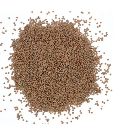 Thames Organic 500g Brown Lentils - High Fiber, High Protein, No Additives, Raw Vegan - Ideal for Soups, Salads, Curries - Nutritious & Flavorful - GMO-Free - Buy Online on SooperMarket.com
