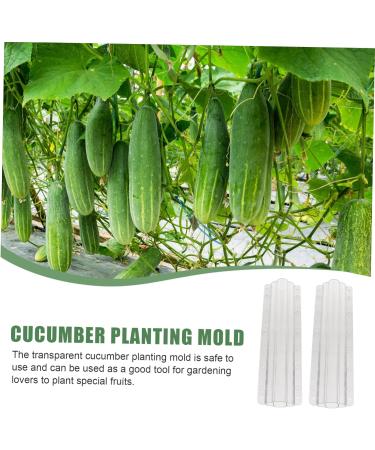 CIYODO 2pcs Vegetable Shaping Mold Cucumbers Cucumber Growing Mould Vegetable Growing Mold Accessories - Buy Online on SooperMarket.com