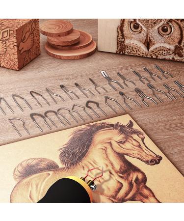 Professional 60W Wood Burning Kit with 24 Wire Nibs - Ideal for Pyrography on Wood, Leather, and More - Buy Online on SooperMarket.com