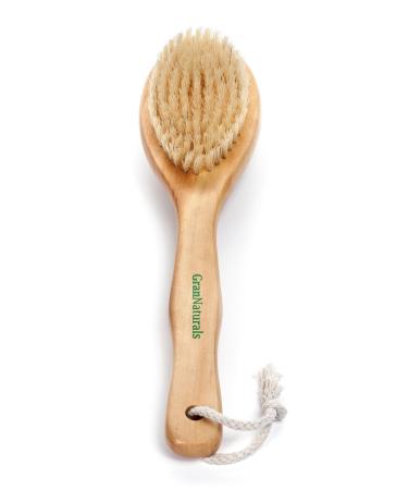 GranNaturals Dry Brushing Body Brush for Lymphatic Drainage + Cellulite Scrubber- Natural Bristle Skin Exfoliator for Body  Back  Legs  and Foot - Exfoliating Body Scrub for Ingrown Hair Bumps 1 Count (Pack of 1)