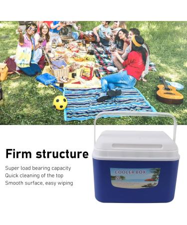 Insulin Cooler Box 5L Portable Insulin Cooling Travel Bin for Outdoor Medicition Food (Blue) - Buy Online on SooperMarket.com