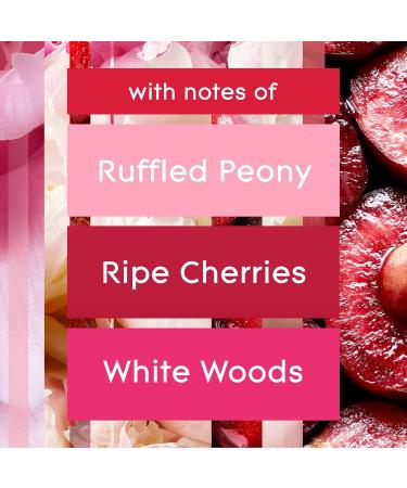 Glade Scented Candle Blooming Peony and Cherry 3-Wick Candle Air Freshener Infused with Essential Oils for Home Fragrance 1 Count - Buy Online on SooperMarket.com