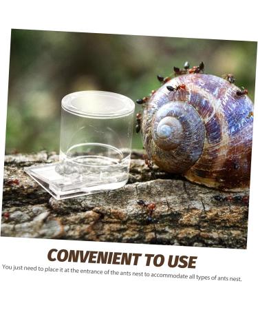 BESPORTBLE Pet Water Feeder Ant Keeping Ant Watering Cup Ant Feeding Cup Ant Bottle Feeder Ant Watering Station Ant Waterer for Garden Ant Cups Water for Ant Garden Ants Feeding Device - Buy Online on SooperMarket.com