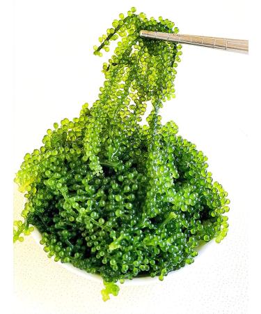 Buy CAVUMI Sea Grapes 3x20g - Crunchy Seaweed Snack | Umibudo Green Caviar Delight - International Shipping Available - Buy Online on SooperMarket.com