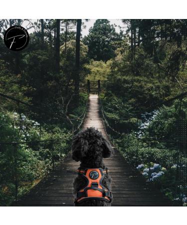 Reflective Dog Harness for Small & Medium Dogs - Nylon Anti-Train - Ideal for Puppy Training - Breathable Mesh - Orange (Size M) - Buy Online on SooperMarket.com