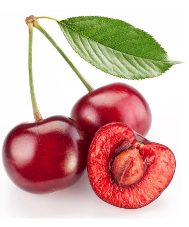 100% Pure Cherry Kernel Oil - Unrefined Cold Pressed Vegan Carrier Oil for Hair & Skin - 32 oz Therapeutic Grade - Buy Online on SooperMarket.com
