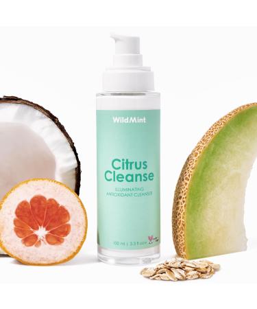 WildMint Citrus Cleanse Natural Face Cleanser | Gentle & Creamy Face Wash for Sensitive Mature Acne-Prone & Dry Skin | Vitamin C Brightening Skincare | UK Made Vegan & Cruelty-Free Skincare | 100ml