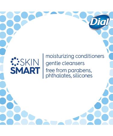 Dial Mountain Fresh Body Wash 16 fl oz - Pack of 3, All Day Freshness - Shop Now! - Buy Online on SooperMarket.com