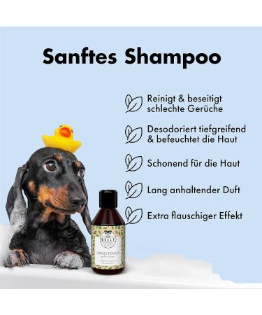 Buy Belly Nourishing Dog Shampoo - Perfect Puppy Shampoo with Keratin & Green Tea | 250ml for Long-Haired Dogs - Fresh Scent & Nourishing Care - Buy Online on SooperMarket.com