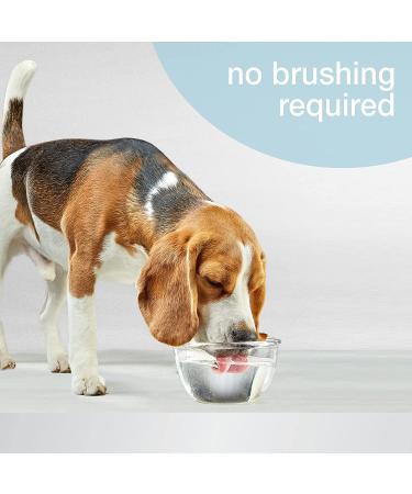Nylabone Advanced Oral Care Water Additives for Dogs 32 oz. - Promotes Fresh Breath & Healthy Gums - Buy Online on SooperMarket.com