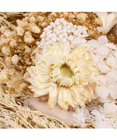 AhlsenL Real Dried Flowers Mix - Hydrangeas, Daisies, White Decorative Petals for DIY Crafts - Buy Online on SooperMarket.com