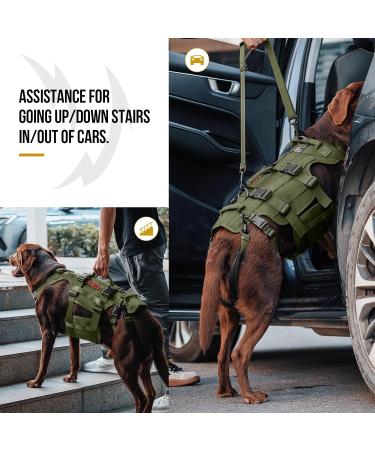 OneTigris Dog Lift Harness for Large Dogs - Dog Support Sling with Handles | Invictus Multifunctional Mobility Assistance Vest - Dog Hip Support Brace | Olive (L) - Buy Online on SooperMarket.com