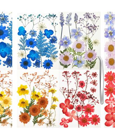 Anpintai Real Dried Pressed Flowers Leaves Petals for Crafts  Dried Flowers for Resin Art Floral Decors Colorful Pressed Flowers Daisies for Candle Jewelry Nail Pendant Crafts Making (Colorful)