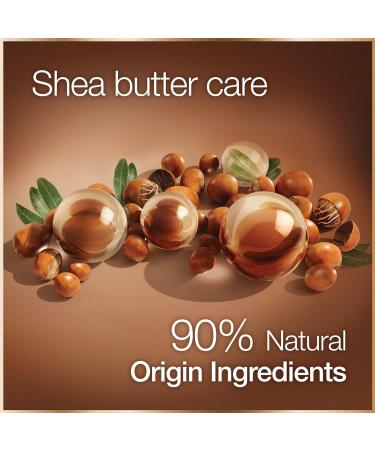 Garnier Good Permanent Hair Dye Kit 4.0 Cacao Brown - 100% Grey Coverage, 8 Weeks Long-Lasting Color - Buy Online on SooperMarket.com