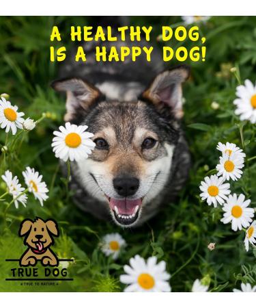 True Dog Premium Omega Oil High Grade Omega 3 6 & 9 supplement for Dogs & Cats | Hemp & Flaxseed Blend Joint Mobility Skin & Coat Support (1ltr) - Buy Online on SooperMarket.com