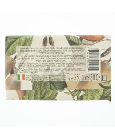 Nesti Dante Il Frutteto Purifying Soap - Mint & Quince Pear | 250g | International Shipping Available - Buy Online on SooperMarket.com