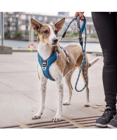 DOG Copenhagen Comfort Walk Pro Harness - Size XL Black - Buy Online on SooperMarket.com