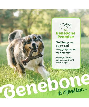 Benebone Wishbone Real Peanuts Medium Durable Dog Chew Toy for Aggressive Chewers | International Shipping Available - Buy Online on SooperMarket.com