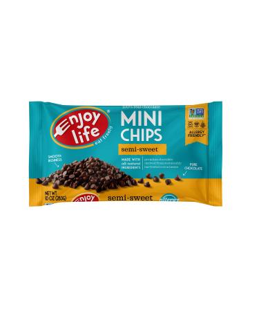 Enjoy Life Semi Sweet Chocolate Mini Chips, 10 oz