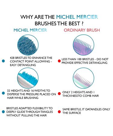Michel Mercier Spa Brush - Detangling Hair Brush for Wet or Dry Hair - Shower Detangler for Women & Men - Thick Hair - Blue - Buy Online on SooperMarket.com