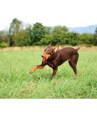 Buy Chuckit! Ultra Ball Large (Pack of 2) - Durable & Fun for Dogs | International Shipping Available - Buy Online on SooperMarket.com