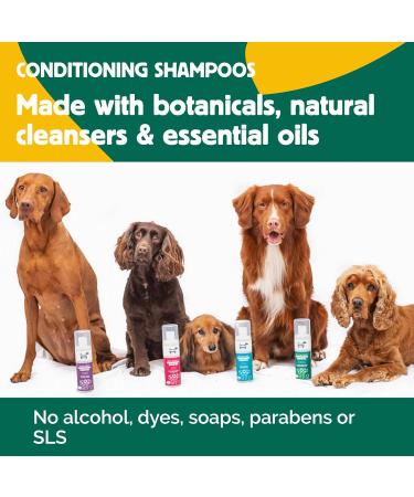 HOWND Yup You Stink 250ml - Dog Shampoo for Smelly Dogs - Fox Poo Shampoo for Dogs - Sensitive Skin Formula with Oatmeal, Eucalyptus, and Cedarwood - Dog Shampoo and Conditioner - Buy Online on SooperMarket.com