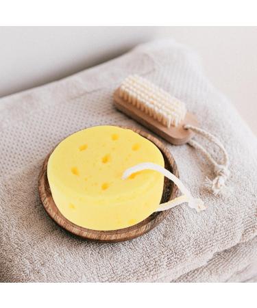 PRETYZOOM 3pcs Seaweed Bath Sponge Set - Honeycomb Shower Accessory for Exfoliating & Cleansing | Ideal Bathing Supplies - Buy Online on SooperMarket.com