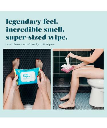Goodwipes Flushable Butt Wipes - Aloe & Botanicals, Gentle & Soothing Wet Wipes | 240 Count, Septic Safe, Home Dispenser | 4 Pack Variety - Buy Online on SooperMarket.com