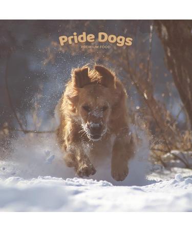 Premium Rabbit Ears Chew Snack for Dogs - 500g | 100% German Quality | Odorless Bag | PrideDogs - Buy Online on SooperMarket.com