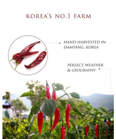 Kisoondo Gochujang (8oz) - Authentic Korean Red Chili Paste | Organic Spices | Hot Spicy Sauce - 8oz - Buy Online on SooperMarket.com