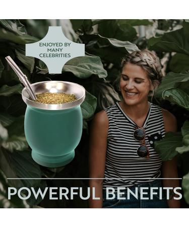 Yerba Mate Natural Gourd/Tea Cup Set Green (Original Traditional Mate Cup - 8 oz) | Includes Bombilla (Yerba Mate Straw) & Cleaning Brush | Green Stainless Steel | Double-Walled | Easy to Clean - Buy Online on SooperMarket.com