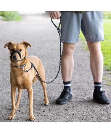Total Pet Anti-Pull Figure 8 Dog Lead with Padded Nose Support - Medium/Large Black - Buy Online on SooperMarket.com