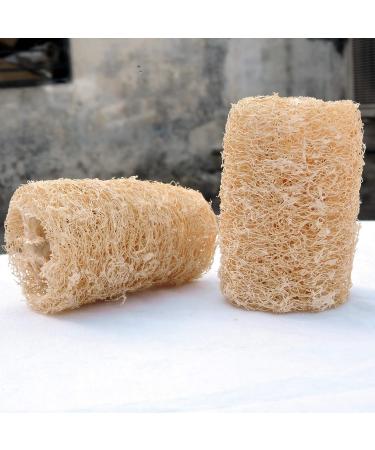 Organic Loofa Bath Sponge Set - 2 Exfoliating Scrubbers | Naturally Grown Loofah - HealthGoodsIn - Buy Online on SooperMarket.com
