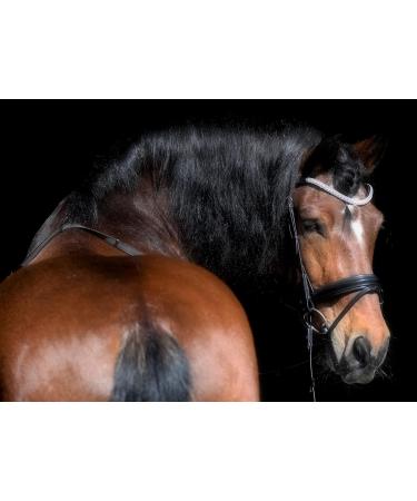 Tyssons Breeches Anatomical Bridle - Reitzaum Relax Shared Neck Piece Black Brown Cognac Ros gold Full Rhinestone Glitter Soft Leather for Ponies (Noric) - Buy Online on SooperMarket.com