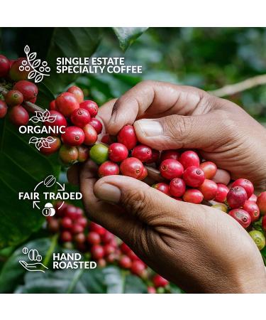 Hand-Roasted Specialty Travel Coffee Backpack - Brew 6 Cups On-the-Go - Buy Online on SooperMarket.com