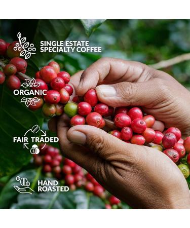 Innovative Coffee Gift Set for Men & Women | 7 Best Single Estate & Organic Coffees | Brew & Enjoy Anytime | Perfect for Coffee Lovers - Coffeebrewer 7er - Buy Online on SooperMarket.com