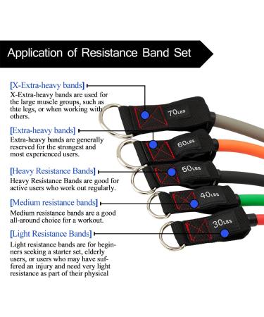TheFitLife Exercise Resistance Bands with Handles - 5 Stackable Fitness Bands up to 300 lbs - Includes Handles, Ankle Straps, Door Anchor & Carry Bag - Buy Online on SooperMarket.com