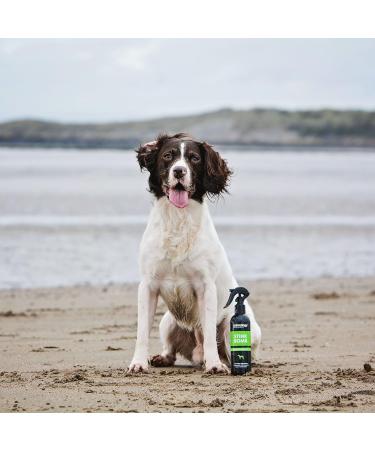 Animology Stink Bomb Deodorising Dog Spray Twin Pack 250ml - Buy Online on SooperMarket.com