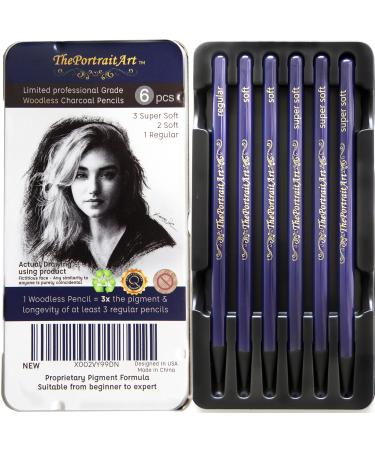 ThePortraitArt Artist Woodless Pure Charcoal Pencils - Ultra Soft and Dark   6pc Set Equivalent to 25+ Regular Pencils   Smooth Consistency on All Drawing Papers