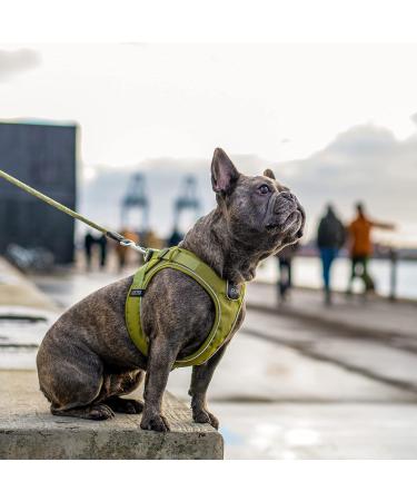 DOG Copenhagen Comfort Walk Go Dog Harness - Hunting Green XS | Best International Shipping Available - Buy Online on SooperMarket.com